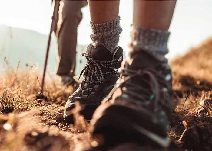 Esmeralda Homes By Livvo Cotillo